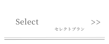 selectプラン