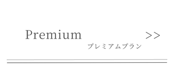プレミアムプラン